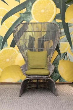 B&B Italia Gartenstühle|Stuhl Crinoline Outdoor Geflecht Taubengrau Grau Sitzkissen Lesia Grün