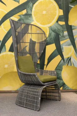 B&B Italia Gartenstühle|Stuhl Crinoline Outdoor Geflecht Taubengrau Grau Sitzkissen Lesia Grün