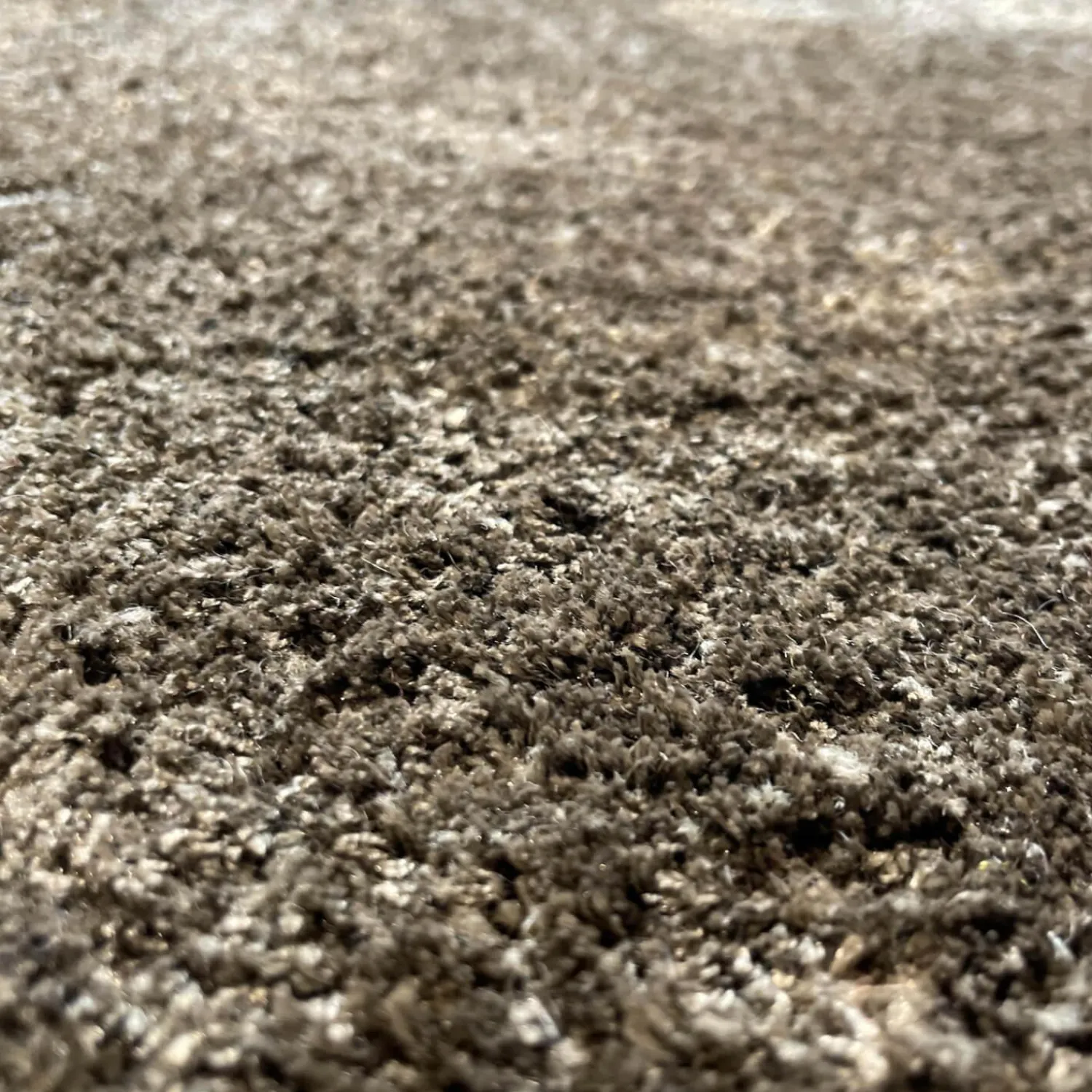 Carpet Sign Teppiche|Teppich Metropolis 300x200 cm 80% Polyester 20& Wolle Streifen Paralel zu 200cm Colour 220050