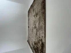 Miinu Teppiche|Teppich 277x241 Homelike ID 1503 Sand Beige Mit Geketteltem Rand