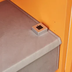 Form Exclusiv Vitrinen & Highboards|Vitrine Hampton Eiche Massiv Geölt Offenporig Lackiert In Pantone Orange Tür Klarglas Mit Ledergriffen