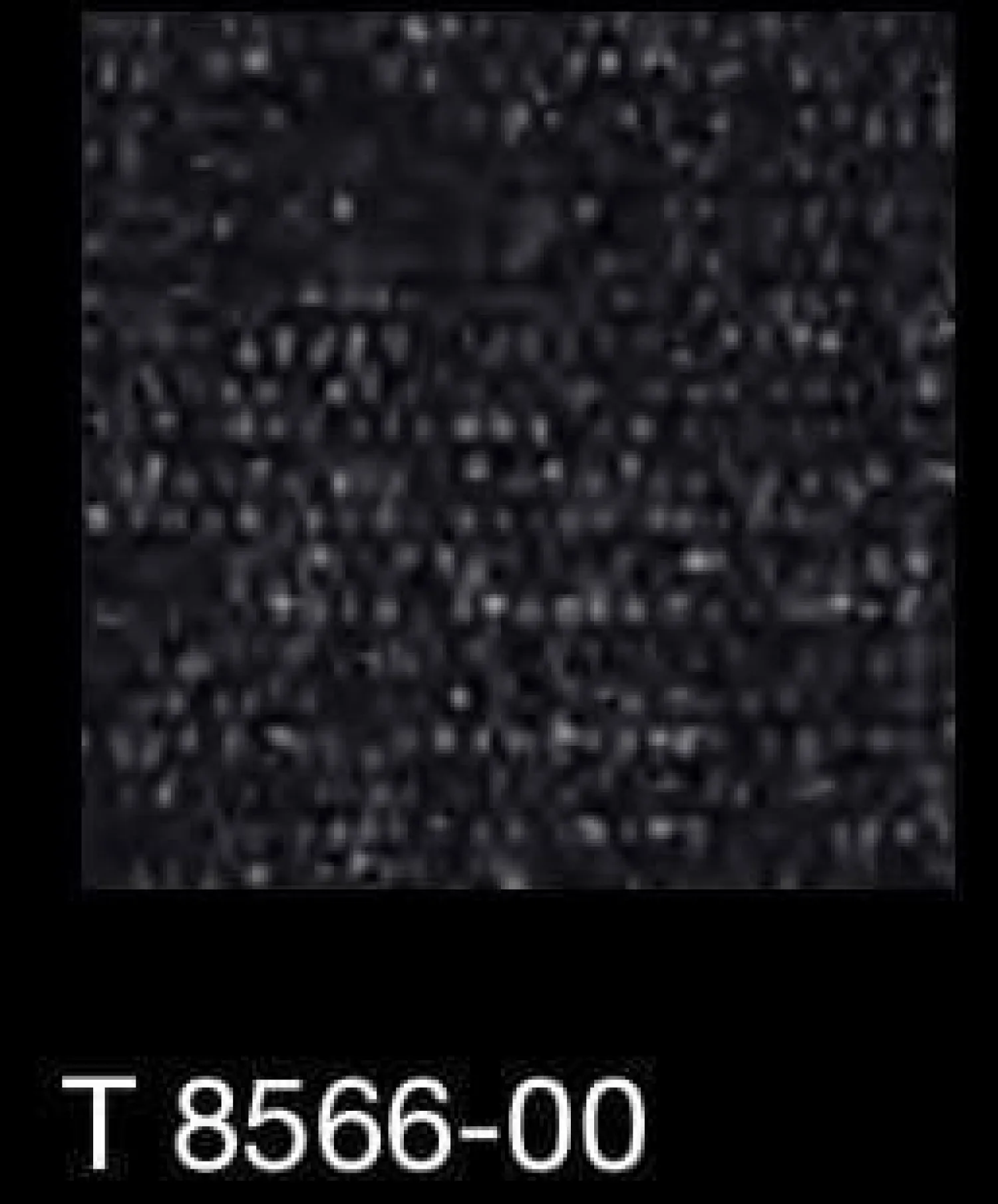 Edra Wohnlandschaften|Wohnlandschaft Standard Stoff Dess. Soft Imperial T 8566-00 Grau Armlehne Abklappbar