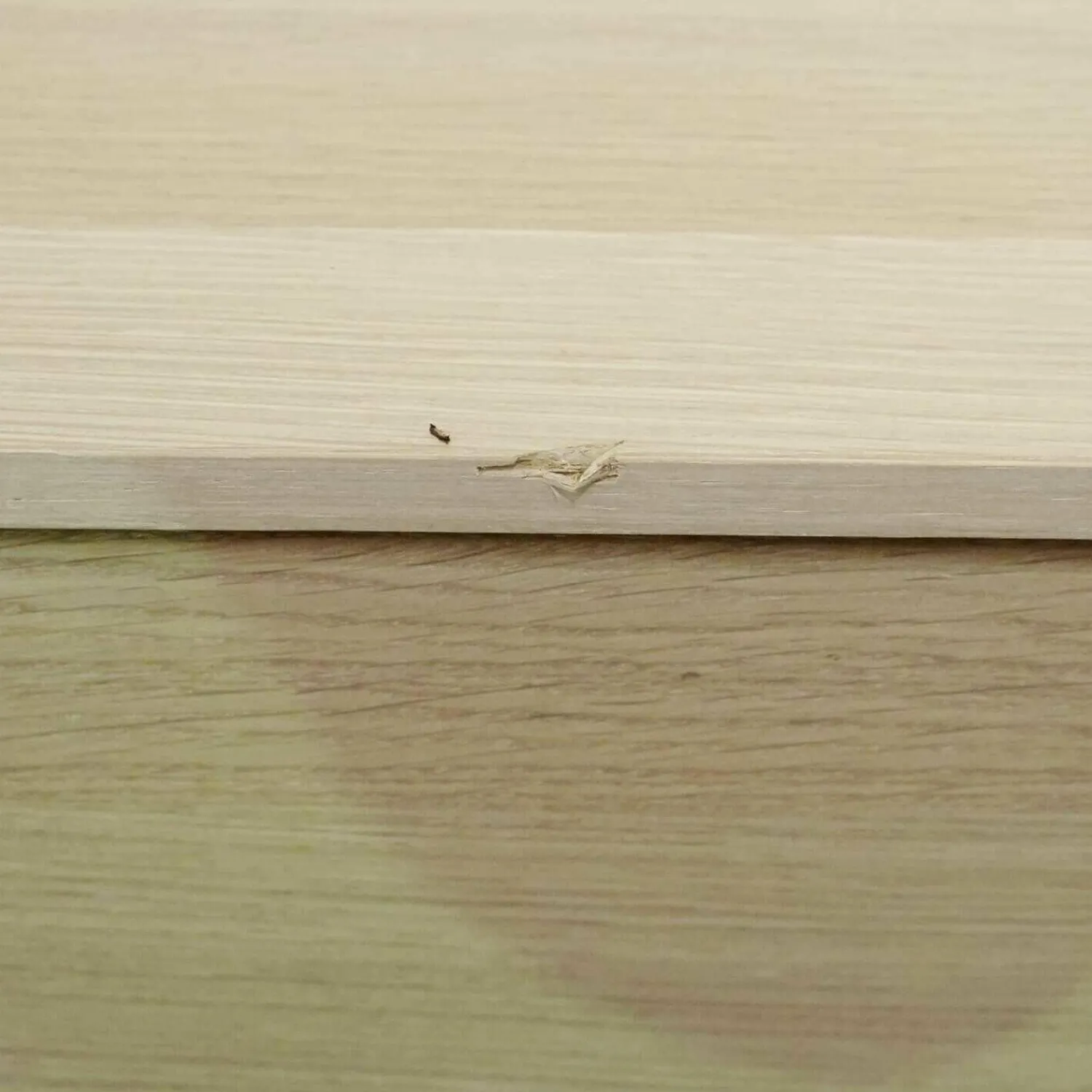 Team 7 Wohnwände & Tv-Lowboards|Wohnwand Filigno Eiche Weißöl